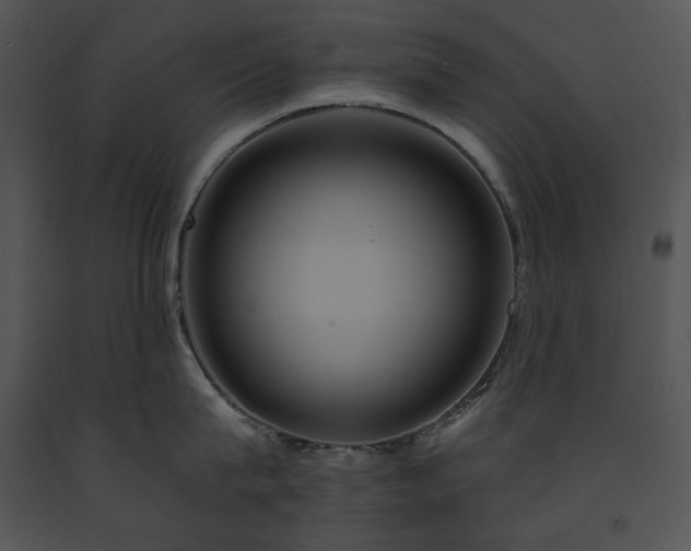 X0000091640815200708301357