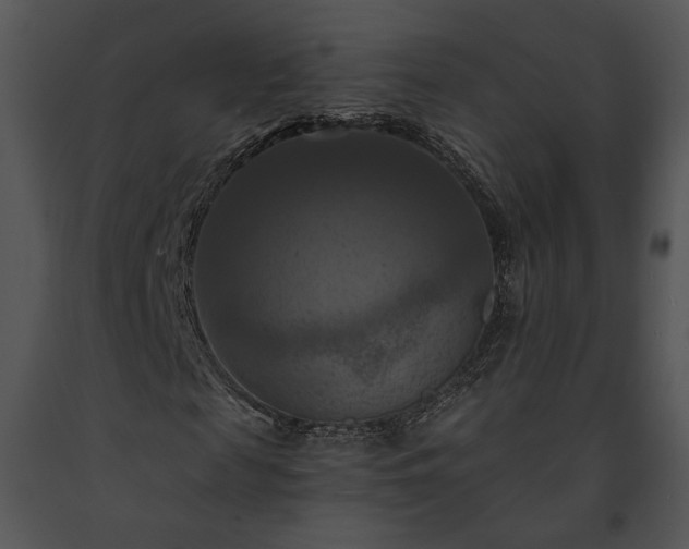 X0000091640817200708301356