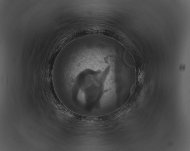 X0000091640819200708301356