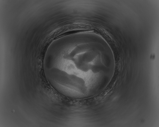 X0000091640821200708301356