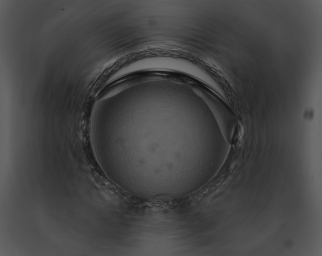 X0000091640822200708301356