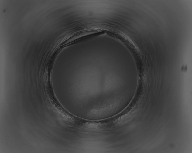 X0000091640825200708301357