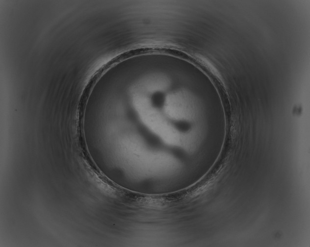 X0000091640831200708301357