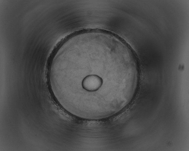 X0000091640832200708301357