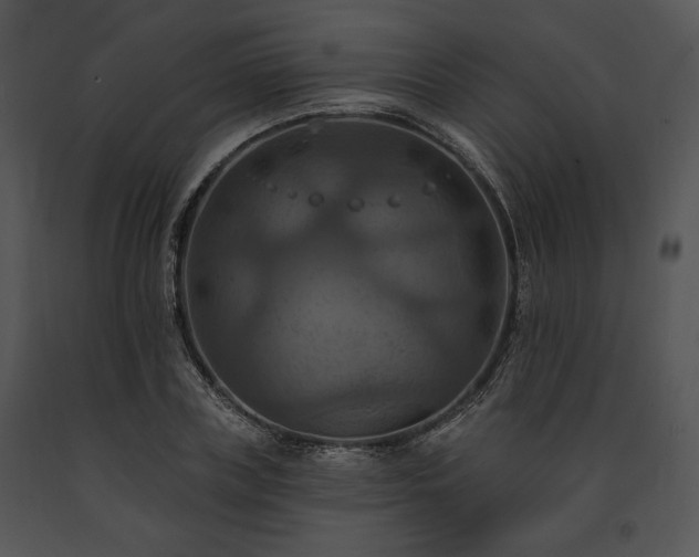 X0000091640835200708301357