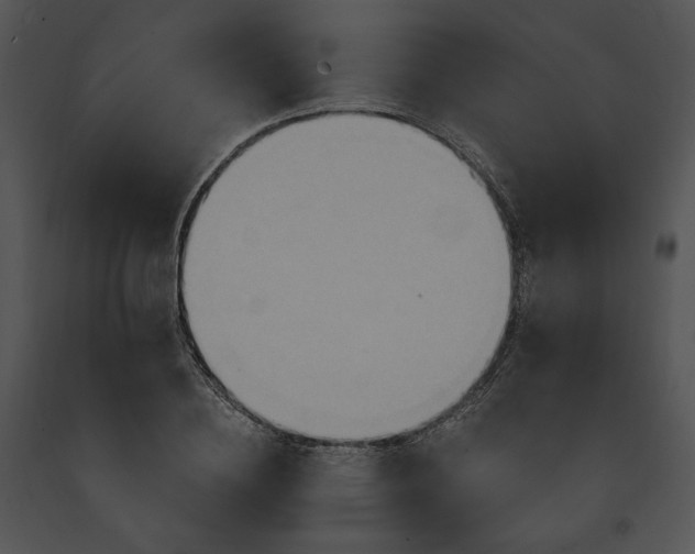 X0000091640836200708301357