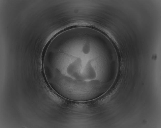 X0000091640837200708301357