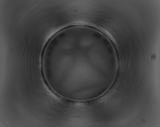 X0000091640839200708301357