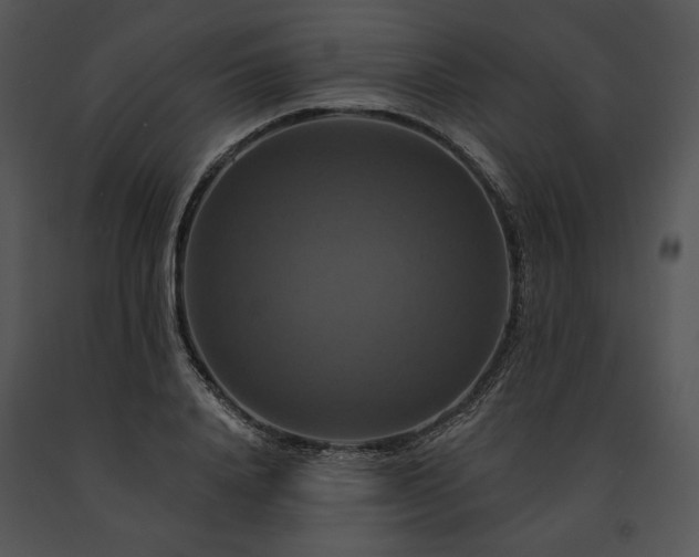 X0000091640840200708301357
