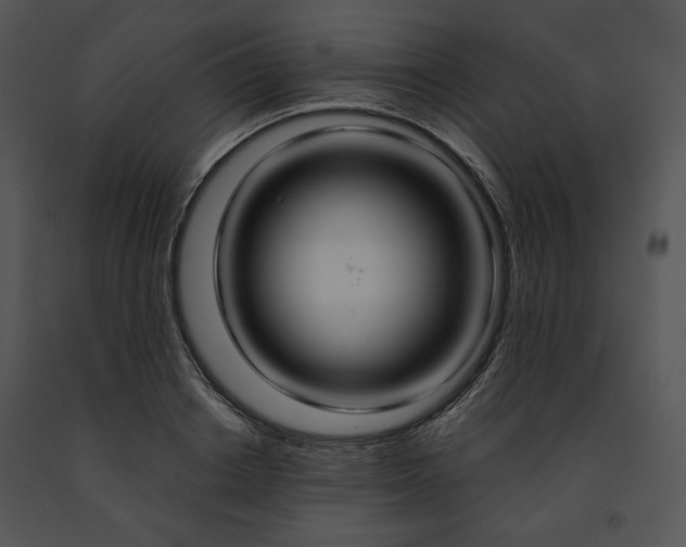 X0000091640842200708301357