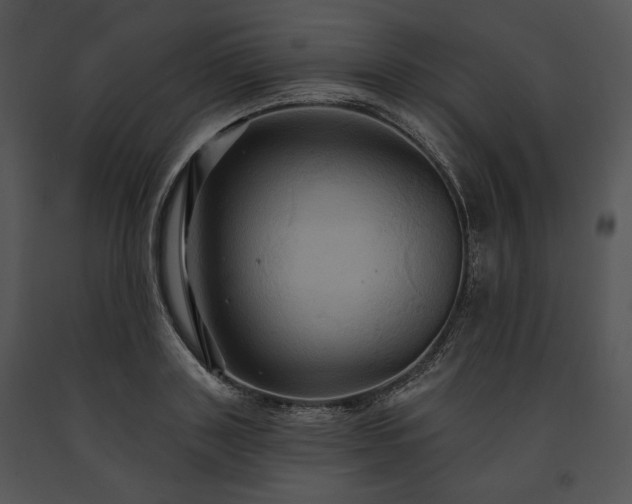 X0000091640843200708301357
