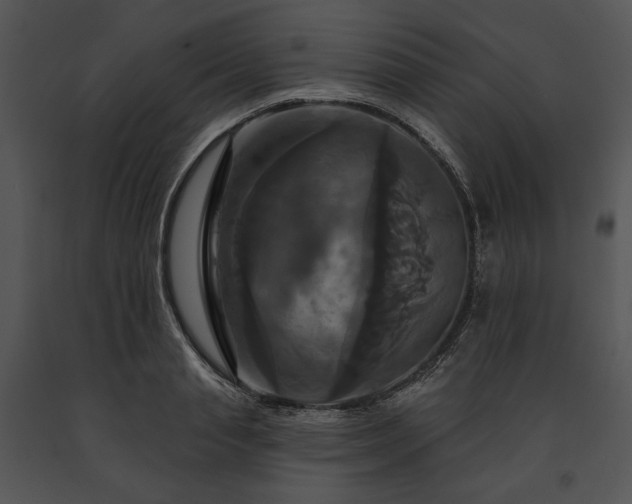 X0000091640845200708301357