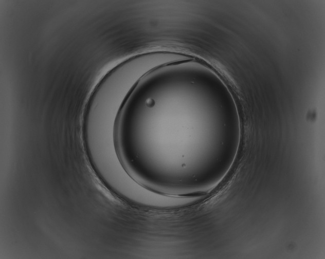 X0000091640846200708301357
