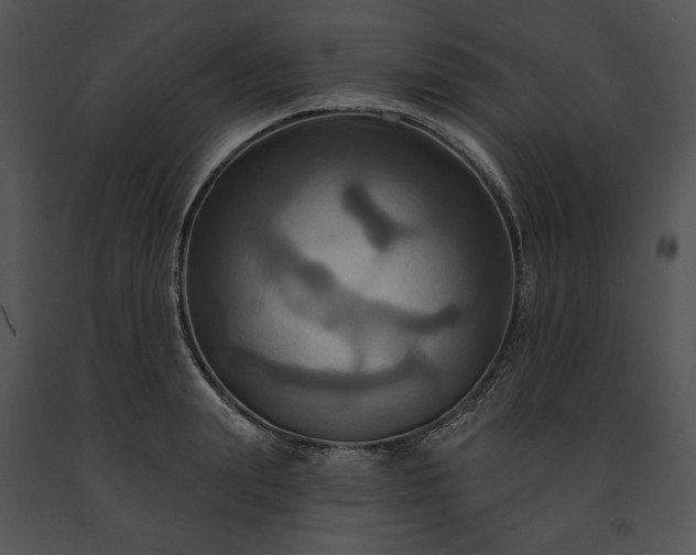 X0000091640847200708301357