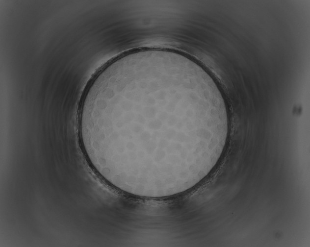X0000091640848200708301357