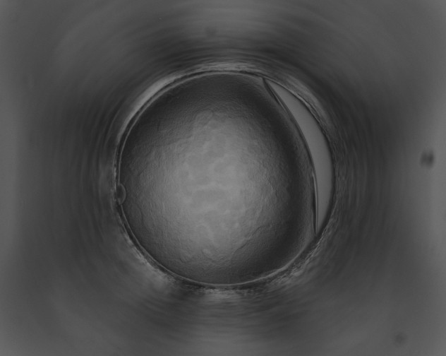 X0000091640852200708301357