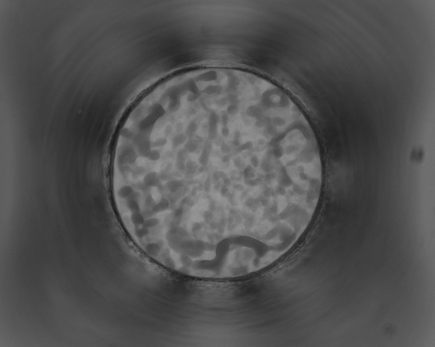 X0000091640856200708301357