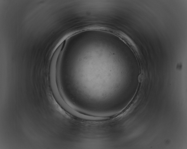 X0000091640860200708301357