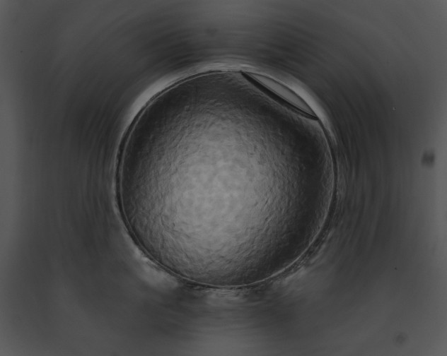 X0000091640861200708301357