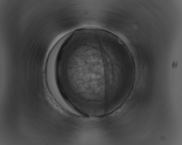 X0000091640864200708301357