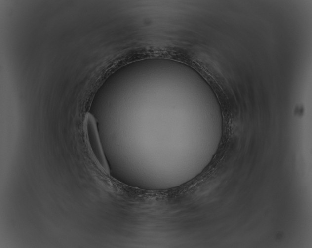 X0000091640865200708301356