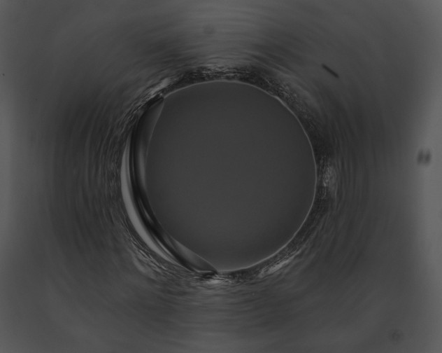 X0000091640868200708301356