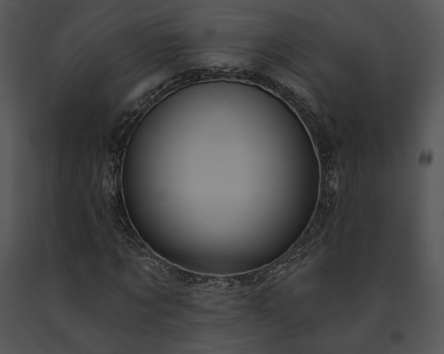 X0000091640869200708301356