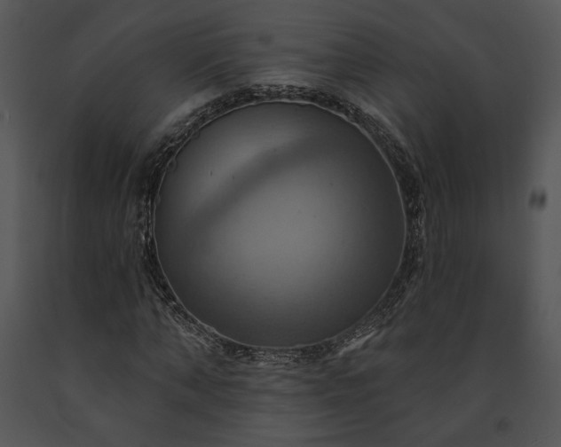 X0000091640870200708301356