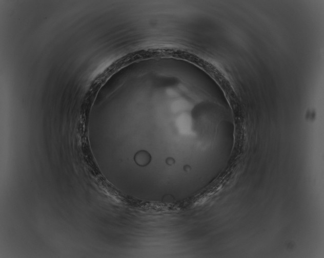 X0000091640871200708301356
