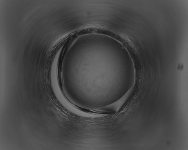 X0000091640872200708301356