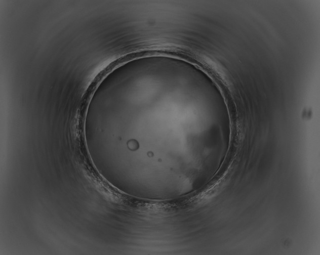 X0000091640875200708301356