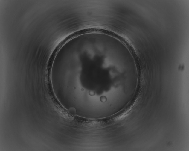 X0000091640879200708301356