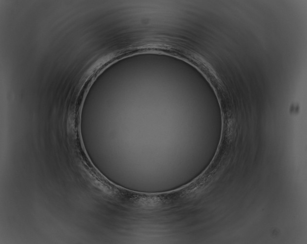 X0000091640882200708301356