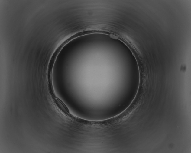 X0000091640884200708301356