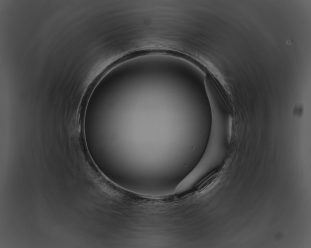 X0000091640885200708301356