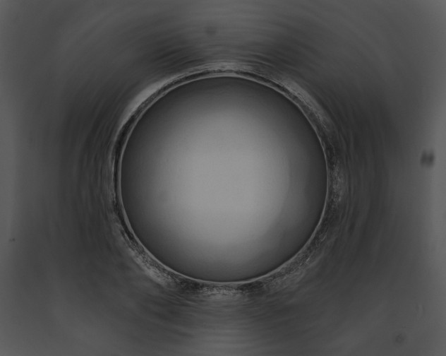 X0000091640886200708301356