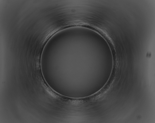 X0000091640889200708301356