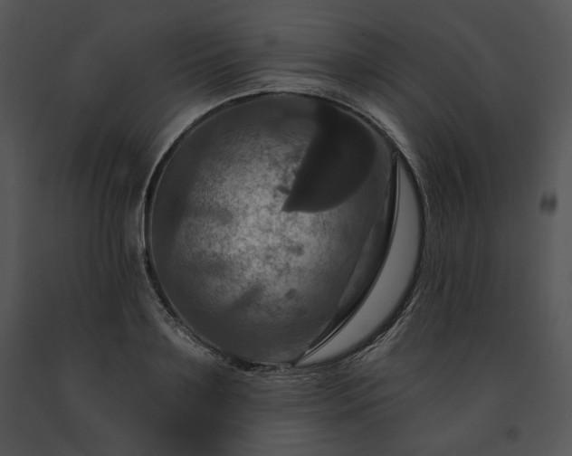 X0000091640891200708301356