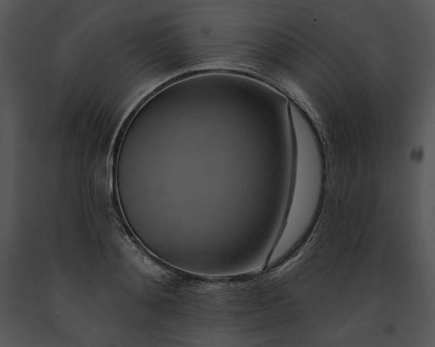 X0000091640892200708301356