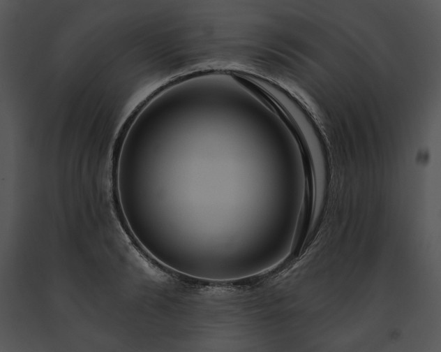 X0000091640894200708301356