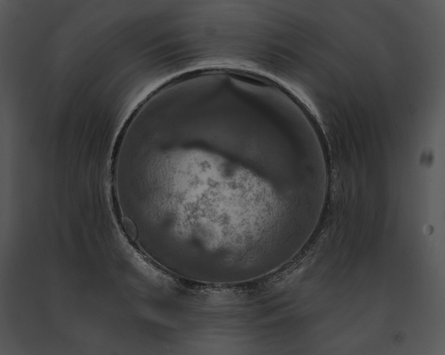 X0000091640895200708301356