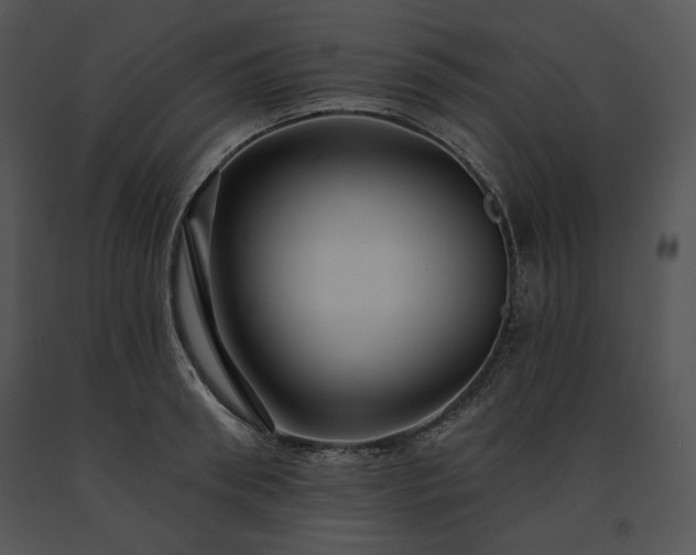X0000091640898200708301356