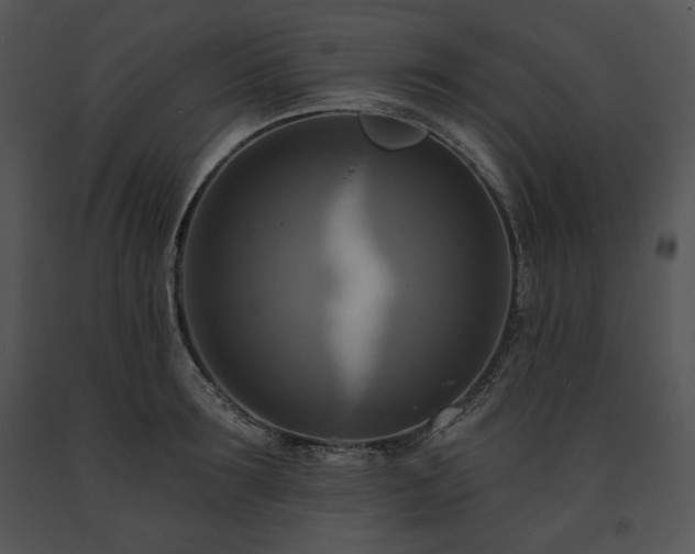 X0000091640899200708301356