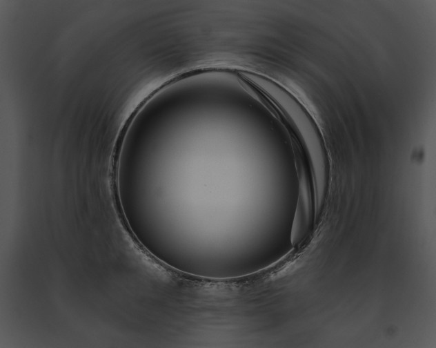 X0000091640901200708301356