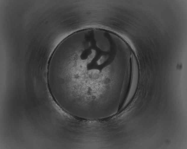 X0000091640903200708301356
