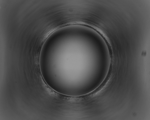 X0000091640905200708301356