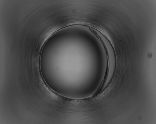 X0000091640906200708301356