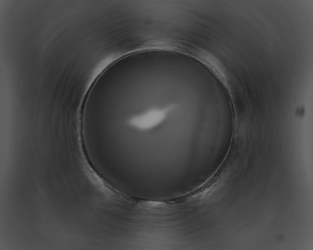 X0000091640907200708301356
