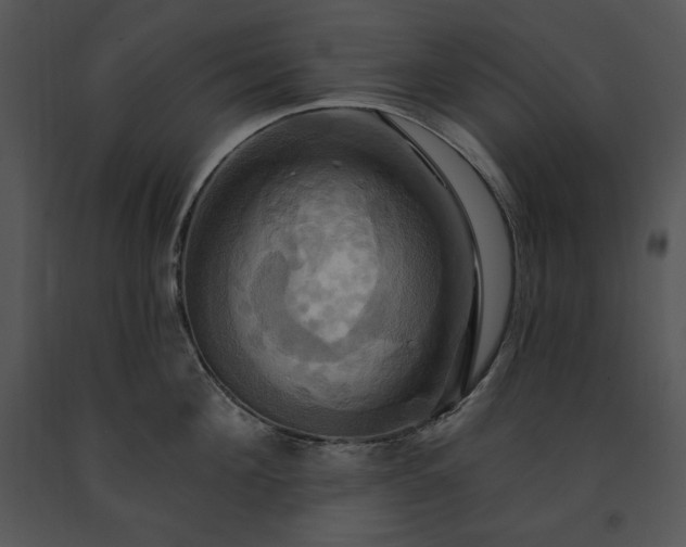 X0000091640908200708301356