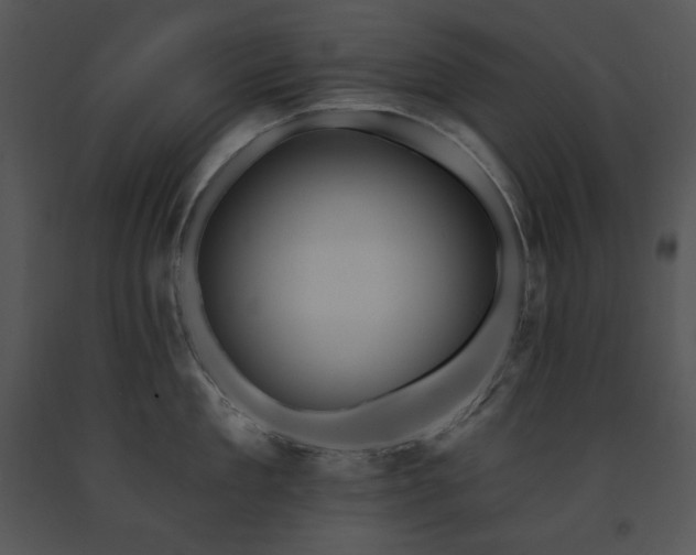 X0000091640909200708301356